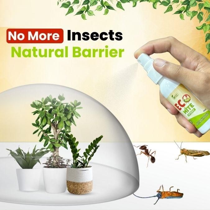 3698